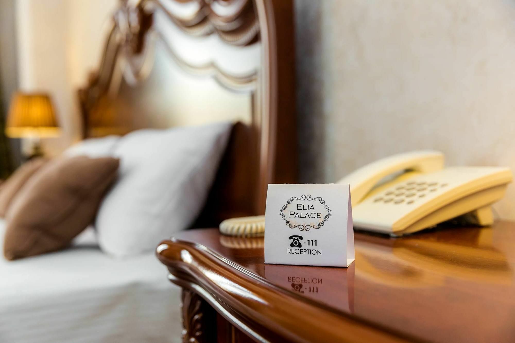 Elia Palace Hotel Τυφλίδα Εξωτερικό φωτογραφία